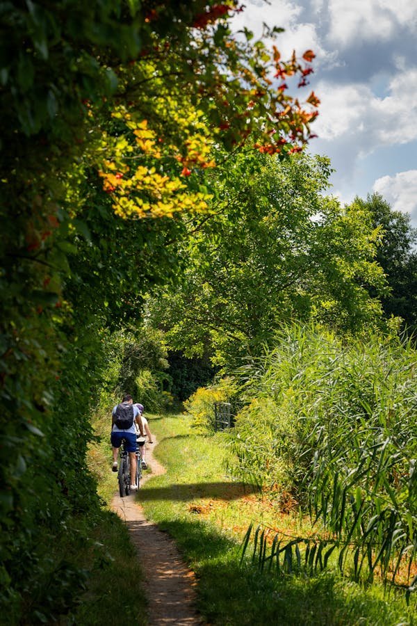Randonnée en pleine nature : conseils pour des sorties réussies