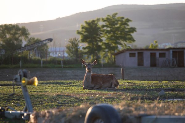 Secrets pour créer un blog homme captivant et percutant